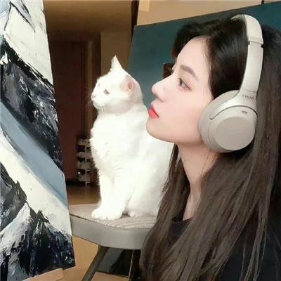 狐狸的故事